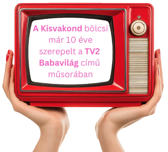 kisvakond-bolcsi-mar-10-eve-szerepelt-a-tv2-babavilag-cimu-musoraban.webp